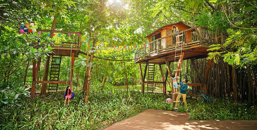 Joyville Santacruz